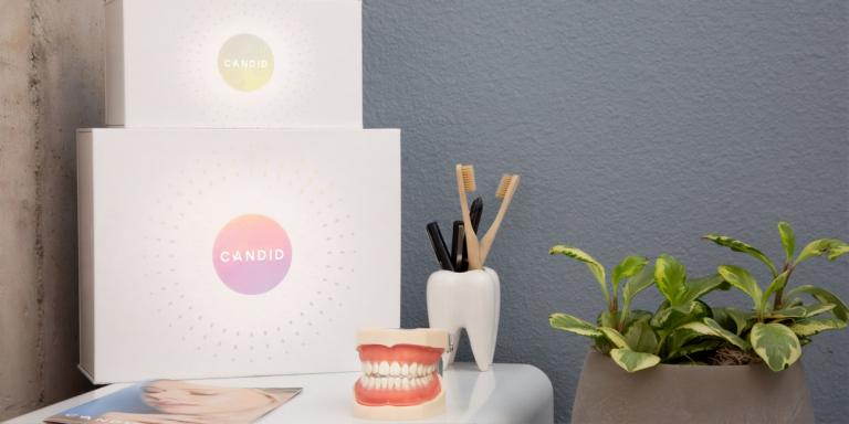 preventative dental care tarpon springs