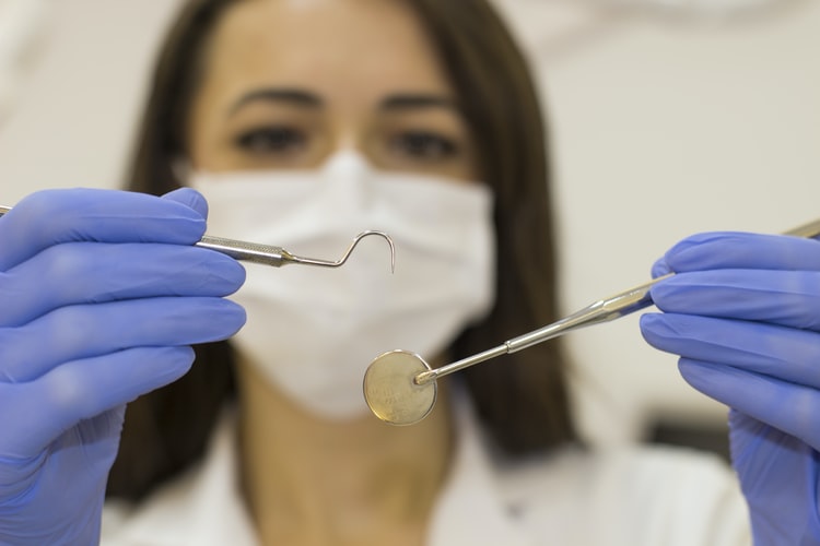 dentist in palm harbor florida