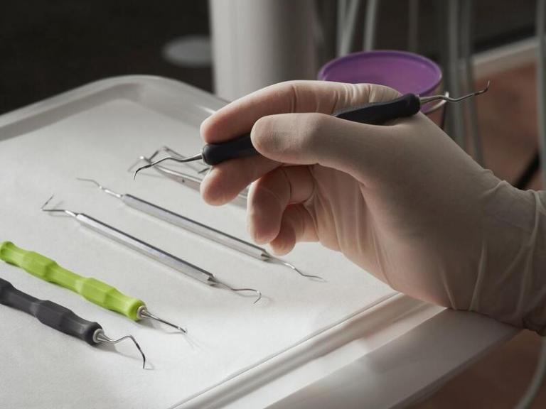 best family dentist tarpon springs fl